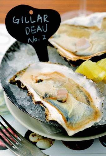 夏天是屬於海洋的季節，海鮮與葡萄酒搭配的美味，更是