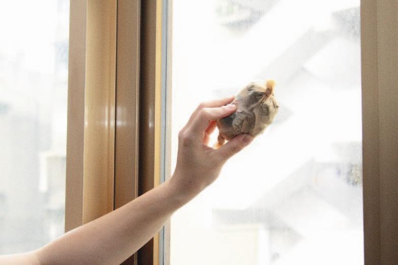 方法五零負擔玻璃清潔劑使用小道具：白醋、水、抹布或