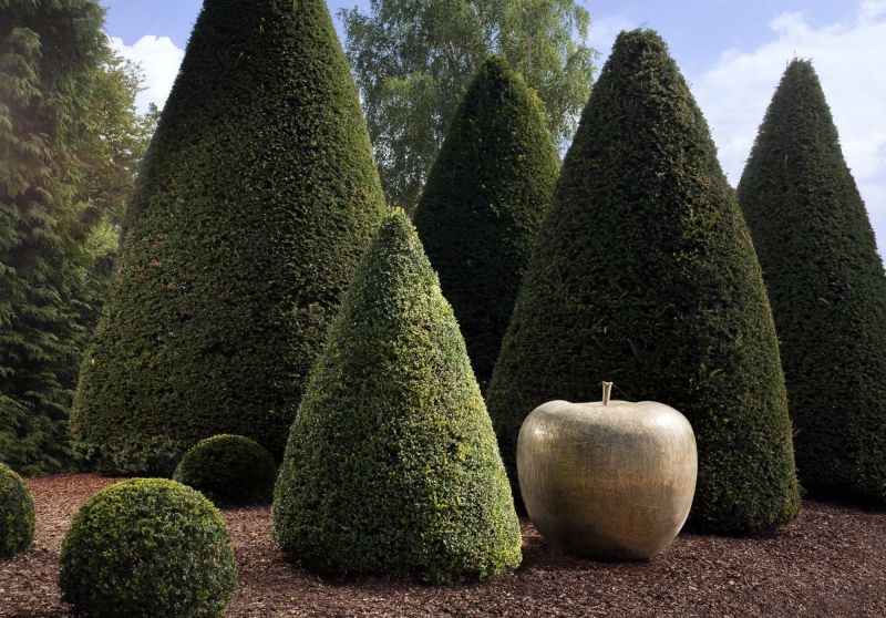 再也不用吃泡麵,就能把「蘋果」帶到家裡面啦!這個出