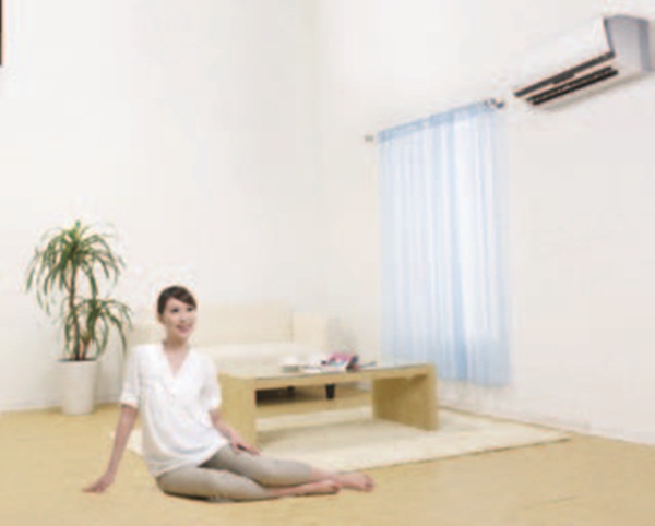 政府在2012年大舉推出兩波節能家電補助方案，其中又以