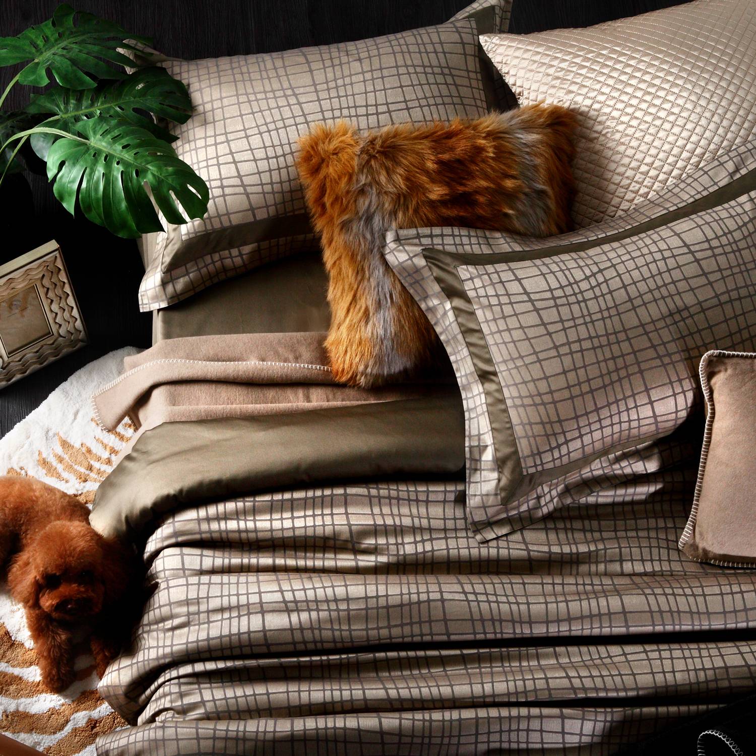 法蝶網站的週年慶~ 全系列商品75折，加碼再送購物金，