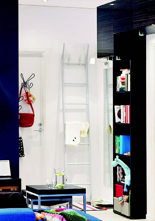 「見」是一種兼具展示佈置及收納機能的美型收納新概念