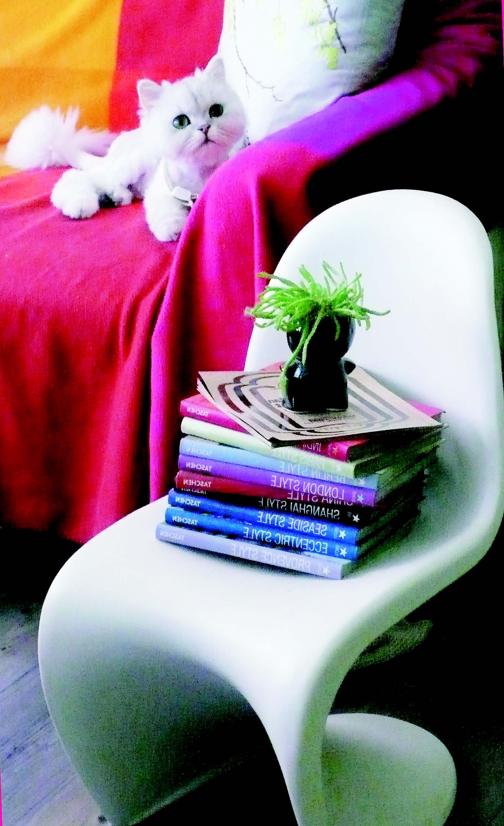 「見」是一種兼具展示佈置及收納機能的美型收納新概念