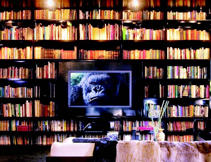 「見」是一種兼具展示佈置及收納機能的美型收納新概念