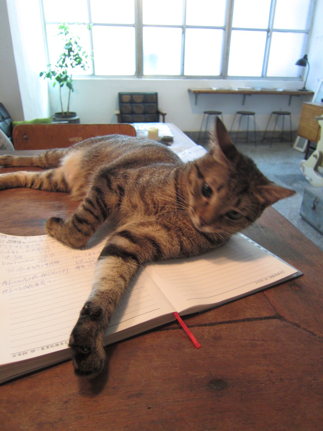 在繁華城市的一隅，我漫步靜候訪客的巷弄，好奇地沿著