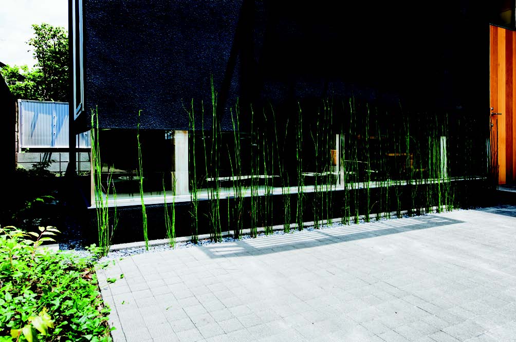 設計師在設計這個8.5 坪的小小室內空間時,首先考量的