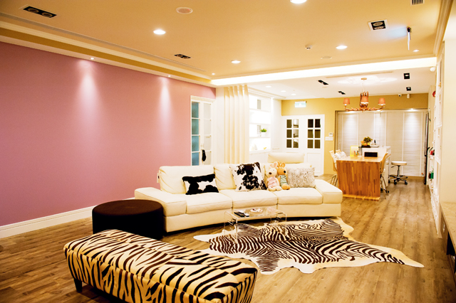 屋主需求：業主是一位醫美診所的醫生，為了有別於一般