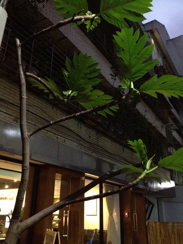 咖啡店、Cross Café、吳建恆