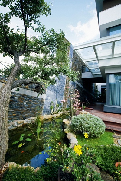 屋主是醫師,很重視在家能有舒適放鬆的氛圍與無毒的室