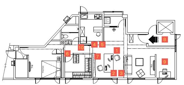 阿德與東東說，家裡真正的主人，其實是好動的愛貓Coop