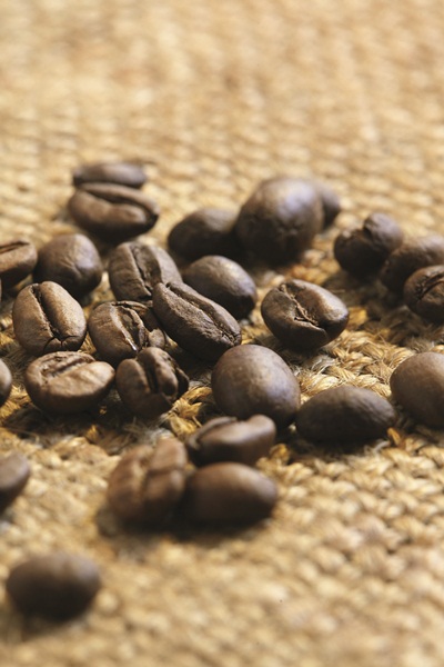 想煮出一杯好咖啡,那麼首先第一步該做的事就是認識咖