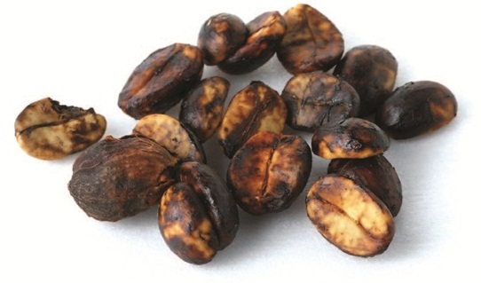 想煮出一杯好咖啡，那麼首先第一步該做的事就是認識咖