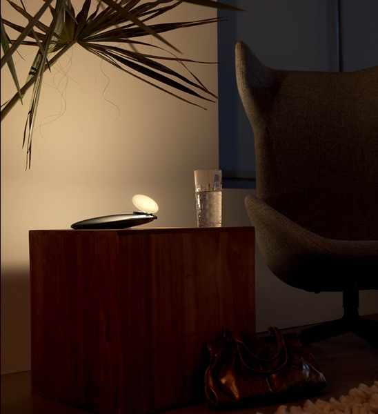 在地球資源永續利用的前提下,LED 燈已成為節能減碳的