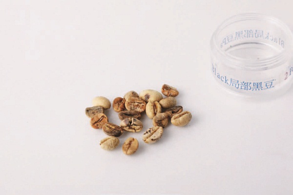 常聽聞「一顆老鼠屎、壞了一鍋粥」，煮咖啡也是一樣，