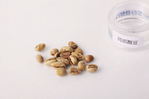 常聽聞「一顆老鼠屎、壞了一鍋粥」，煮咖啡也是一樣，