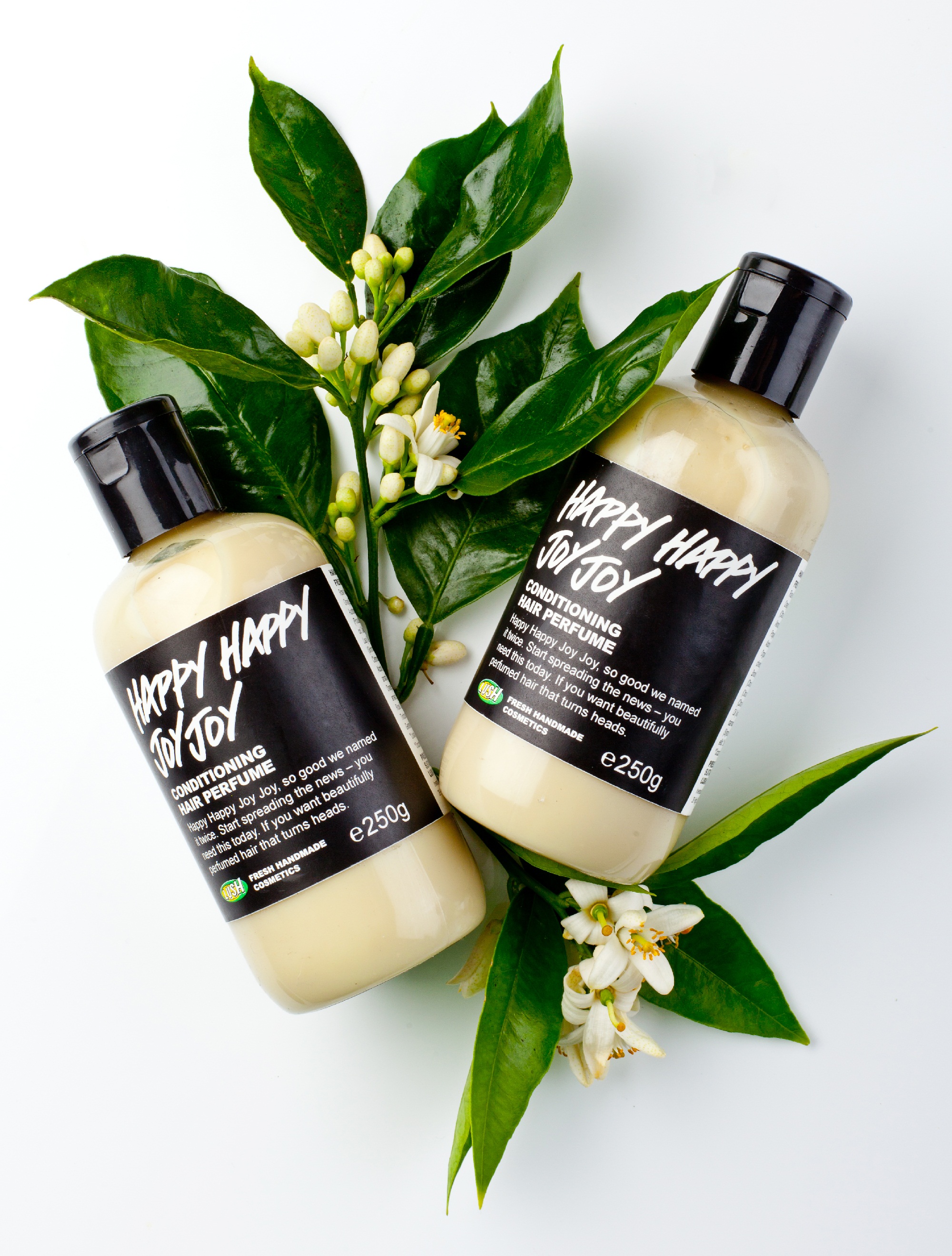 每逢過年佳節之際,當大家忙碌想著該怎麼除舊佈新,盤