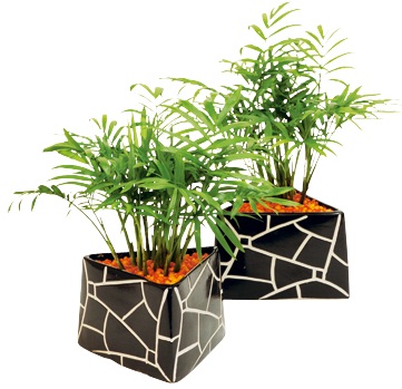 每個人每天無時無刻都需要呼吸!就算是在家裡面,也要