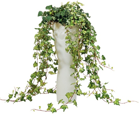 每個人每天無時無刻都需要呼吸!就算是在家裡面,也要