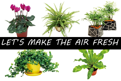 每個人每天無時無刻都需要呼吸!就算是在家裡面,也要