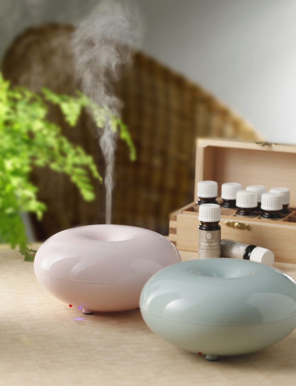 創意設計家居品牌滴答克 (TickTock) 年度主打【法式馬