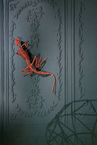 自1995年開辦以來，每年春、秋兩季，於法國首都巴黎舉