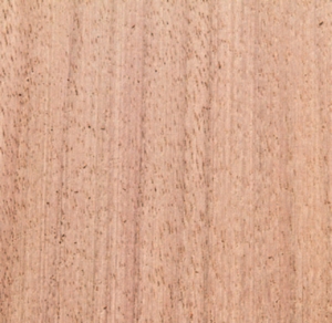 木素材有好多種，檜木、柚木、杉木？根本都搞不懂什麼