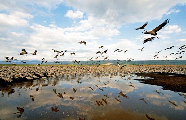 雨停了，不要窩在家裡種菇菇啦！趕緊出來看展覽吧！有