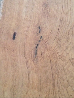 在認識 16 種木素材之後哩，一定要知道選材的關鍵點還