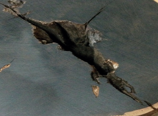 在認識 16 種木素材之後哩，一定要知道選材的關鍵點還