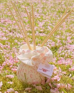 一晃眼，5月的第2個禮拜天就要到了，這一回母親節要送