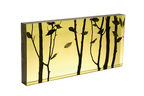 在上集當中你是否找到自己中意的藝術品呢？下集小編把