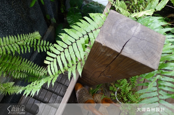 想要在家營造峇里島的輕鬆氛圍嗎?除了運用大量的木材