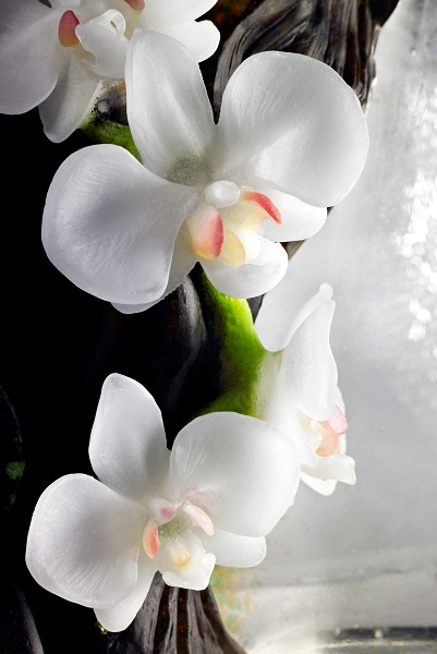 琉璃工房以台灣原生動植物為主題，由楊惠姍帶領一群平