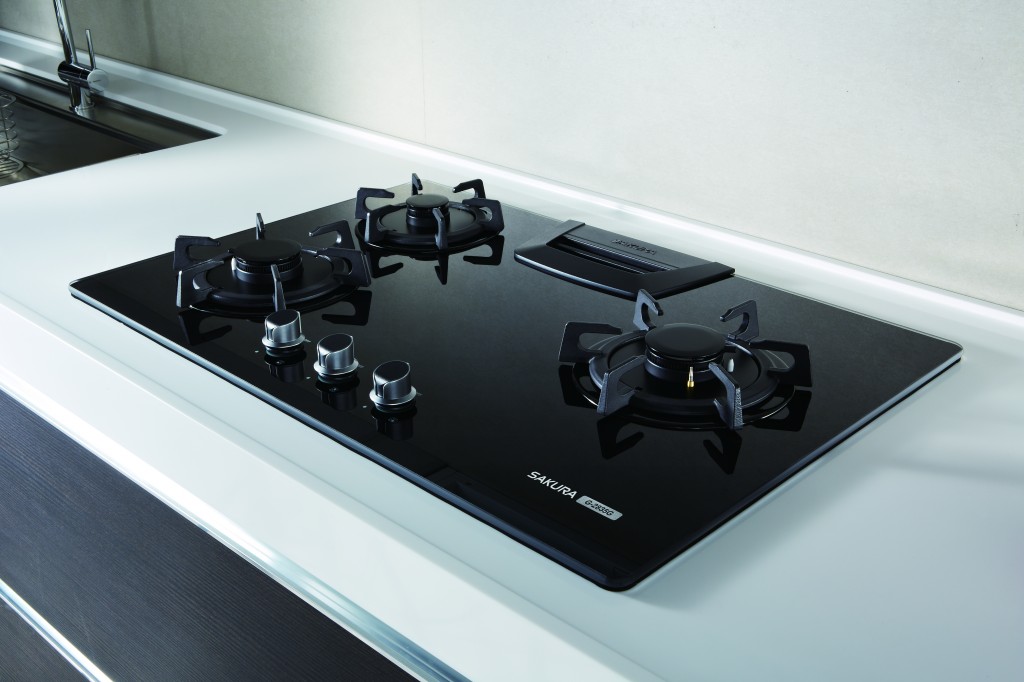 現代化及高效率廚房，就像是是一座電器配備齊全，規劃