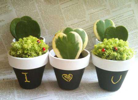 夏天的尾巴漸漸消失，而這時秋天的羽毛落下。
季節轉