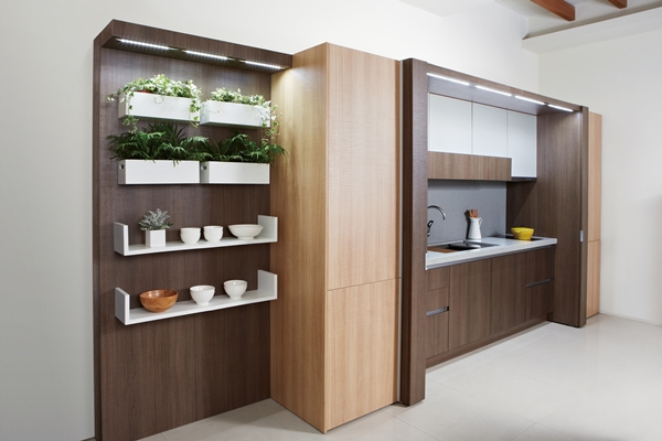 近年來，結合廚房、餐廳與客廳兼具實用、展示及社交功