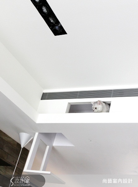 現代人養寵物者漸多，貓貓狗狗已成居家生活的一部分，