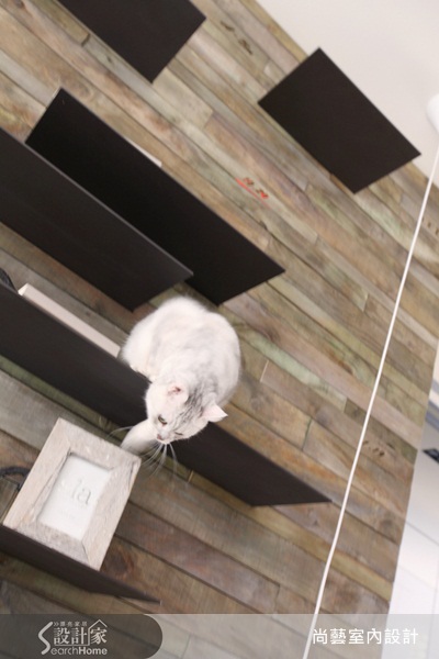 現代人養寵物者漸多，貓貓狗狗已成居家生活的一部分，