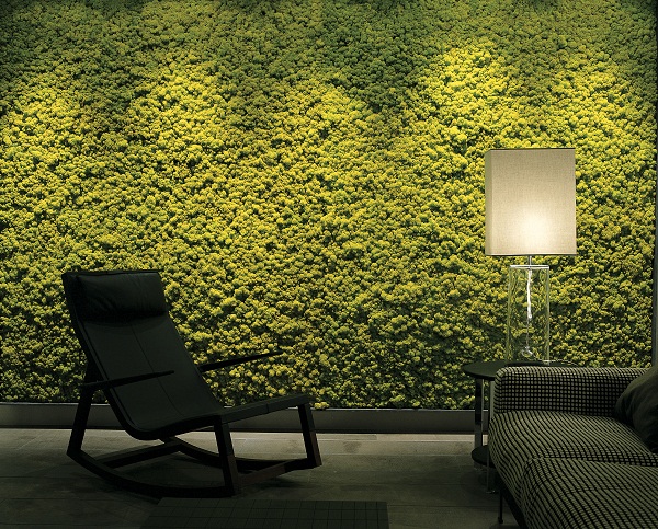 午夜的鐘聲響起，一輛古董標緻汽車的出現將主角蓋爾帶