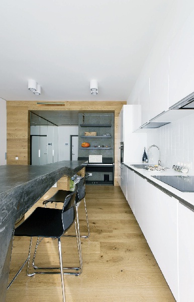 這間位於莫斯科17坪小住宅，男主人就是za bor archite