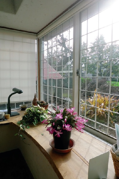 藤森照信作品總是扭轉大眾對建築的印象，也跳脫房子就