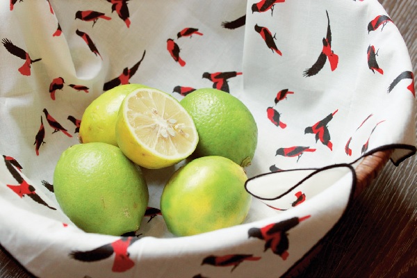 工藝的發展，有的走向純藝術品，工藝家地位提升至藝術