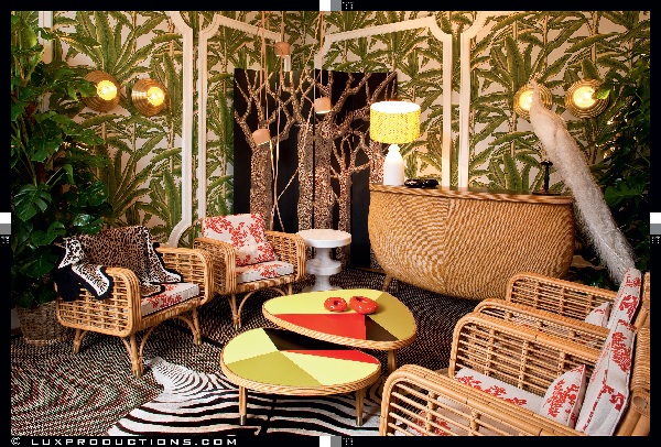 India Mahdavi在伊朗出生,之後到美國、德國、法國生