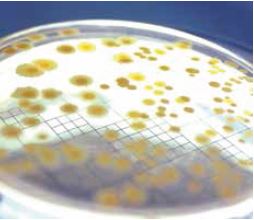 為了保持整潔清新的居家環境，你會清潔每一個角落和縫