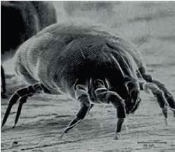 為了保持整潔清新的居家環境，你會清潔每一個角落和縫