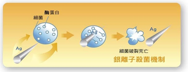 年底除舊佈新趁現在,愛菲爾防蟑系統板,奈米科技、天