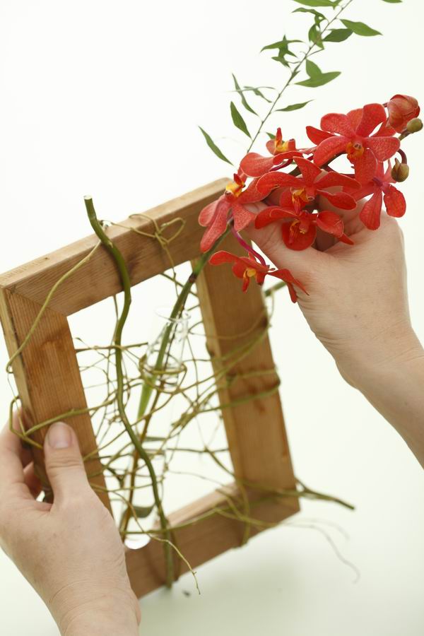 在家也可以擁有森林…整排的人造樹，人造樹上擺幾隻貓