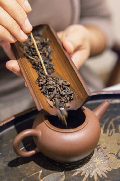 因為喜歡茶具而走進茶世界的林珊旭，習茶已多年且對茶