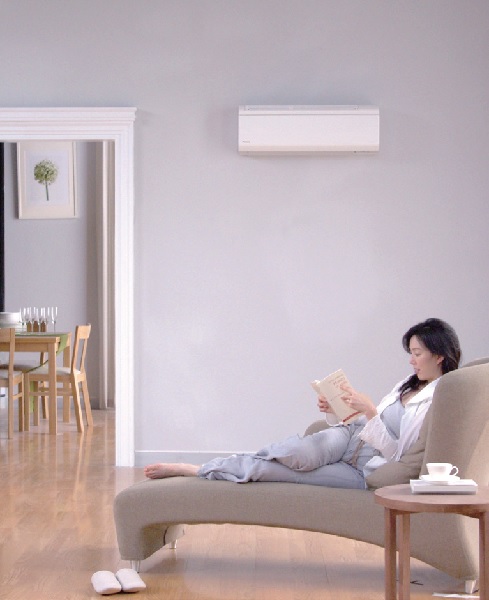 因政府連續兩波的節能補助推動，2012年總算帶動了冷氣