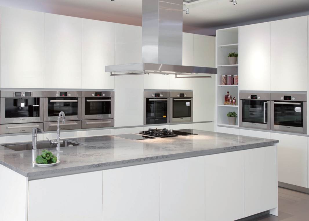 過去國內廚具產品設計趨勢,幾乎都是以國外進口廚具為